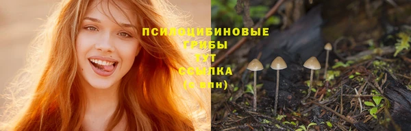 стафф Верхний Тагил