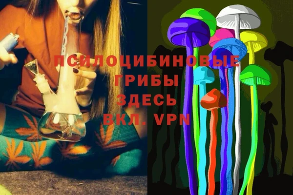 стафф Верхний Тагил