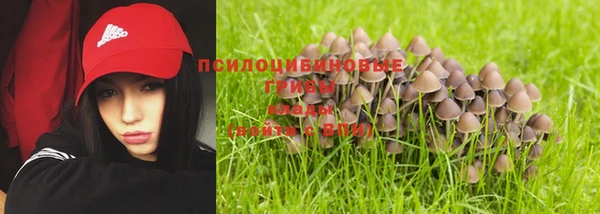 каннабис Бородино